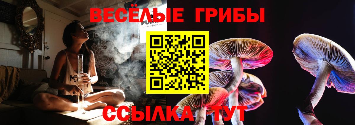 Псилоцибиновые грибы Cubensis Благодарный